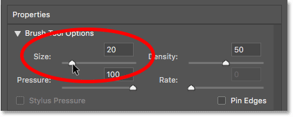 Verringern Sie die Pinselgröße im Verflüssigungsfilter in Photoshop