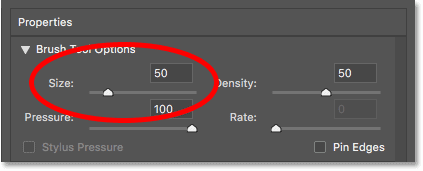 Increase the Forward Warp Tool brush size to 50 px in the Liquify filter