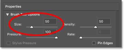 Erhöhen Sie die Pinselgröße des Vorwärtskrümmungswerkzeugs im Verflüssigungsfilter auf 50 Pixel