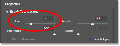 زيادة حجم فرشاة Forward Warp Tool إلى 70 بكسل في مرشح Liquify في Photoshop