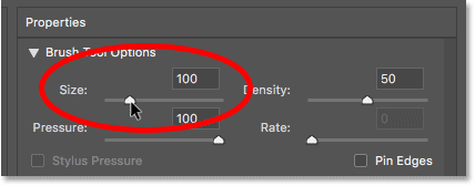 Set the Liquify filter brush size to 100 pixels