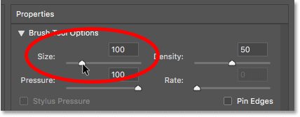 Establezca el tamaño del pincel del filtro Liquify en 100 píxeles