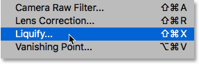 Define the Liquify filter in Photoshop