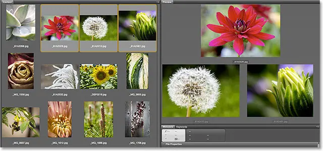 Examine the image in 100 percent display mode. Image © 2015 Photoshop Essentials.com