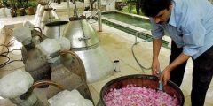 How to distill flowers