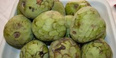 Quel est le fruit de la truffe ?