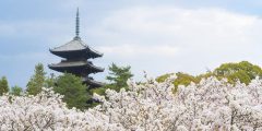 Templo Ninnaji en Kioto