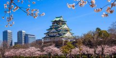 Die Burg Osaka ist die berühmteste Burg