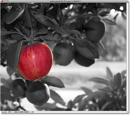 La manzana permanece completamente coloreada.