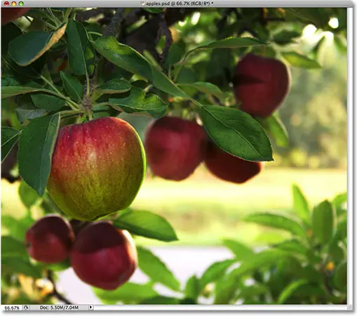 La manzana ahora está coloreada.