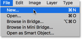 Select New command from the File menu.