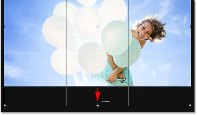 Faites glisser le bas de la bordure de recadrage vers la zone située sous l'image. Image © 2016 Steve Patterson, Photoshop Essentials.com