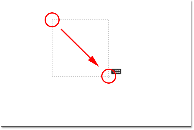 Нарисуйте квадратное выделение с помощью инструмента «Прямоугольная область».