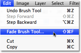 Fade command in Photoshop.