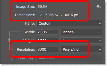 Increasing the image resolution does not change the pixel dimensions or file size of the image