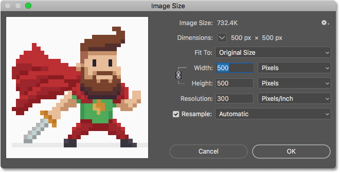 The pixel image opens in the Image Size dialog box in Photoshop CC