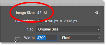 كيفية حساب حجم ملف الصورة في Photoshop