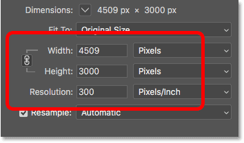 Width, Height, and Resolution options in the Image Size dialog box in Photoshop