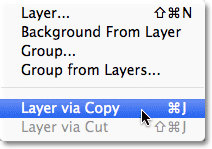 Create the new layer via Photoshop's Copy command. Image © 2011 Photoshop Essentials.com.