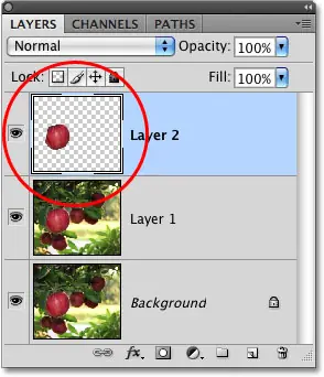 مصغر معاينة الطبقة في لوحة الطبقات في Photoshop. 