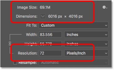 Lowering the image resolution does not change the file size or pixel dimensions