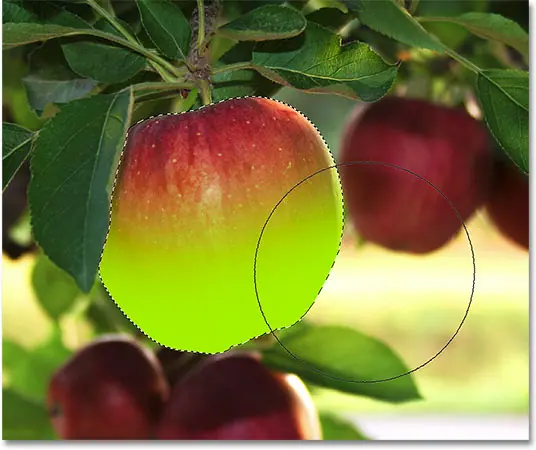 Draw along the bottom half of the apple.