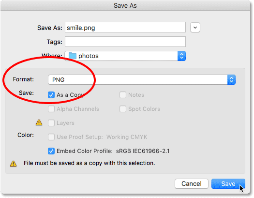 Choose PNG for the file format in the Save As dialog box.