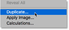 Choose the Duplicate command from the Image menu in Photoshop