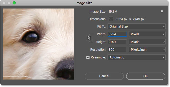 Диалоговое окно «Размер изображения» в Photoshop CC