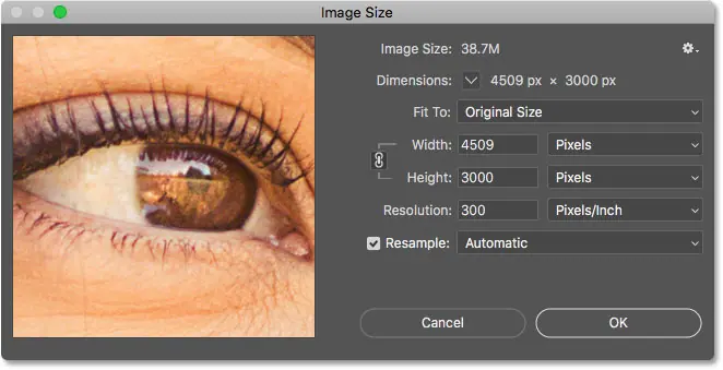 Image Size dialog box in Photoshop CC