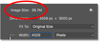 The image size in megabytes appears in the Photoshop Image Size dialog box