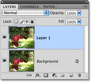 Layers panel in Photoshop.