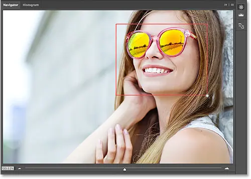 Zeichnet ein Anzeigefeld im Navigatorbedienfeld in Photoshop