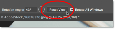 Reset the width of both images at once in Photoshop