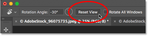 The Reset View button for the Rotate View tool in Photoshop