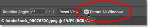 خيار Rotate All Windows لأداة Rotate View Tool في Photoshop