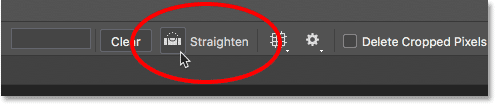 Select the Flatten tool from the options bar.