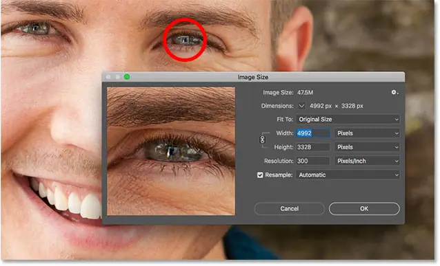 كيفية توسيط الصورة داخل نافذة معاينة حجم الصورة في Photoshop