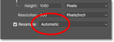 The interpolation method next to the Resample option in the Photoshop Image Size dialog box