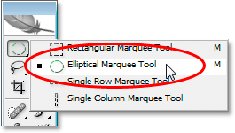 اختيار Elliptical Marquee Tool من لوحة الأدوات