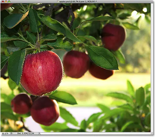 Recoge la manzana de nuevo.